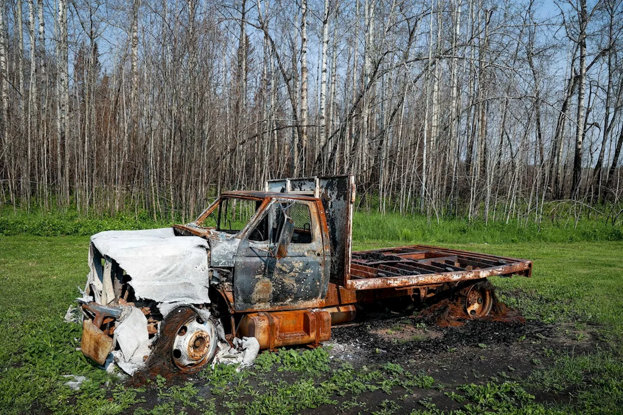 The Grizzly Wildfire Lawsuit: Alberta Faces Accountability for Metis Settlement Losses