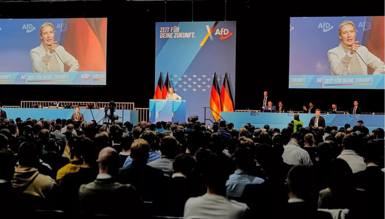 Germany's Political 'Firewall' Under Siege as 59% of Voters Back AfD Cooperation