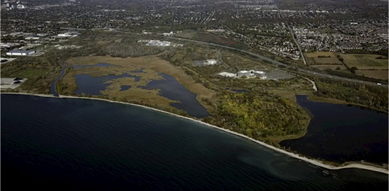 Queen's Park Bets $1 Million on Oshawa's Ecological Shield