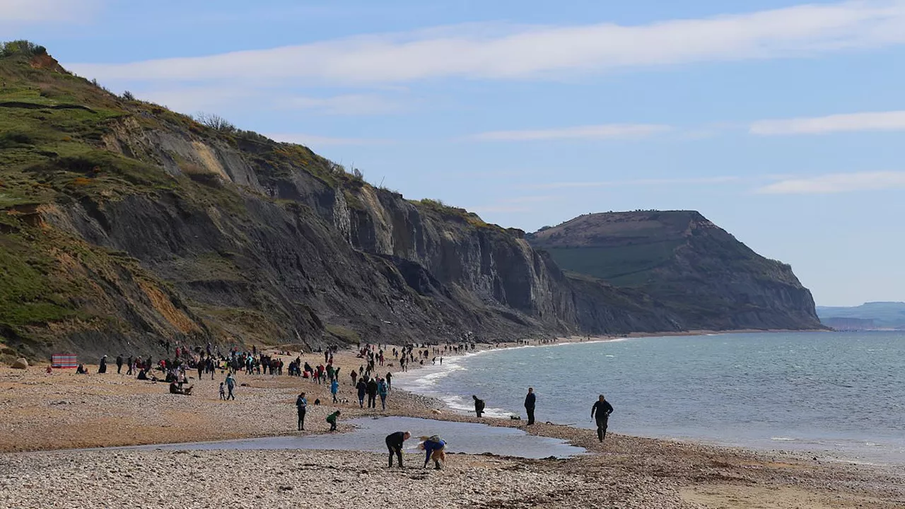 Viral Fossils: The High-Stakes Race for Britain's Jurassic Coast