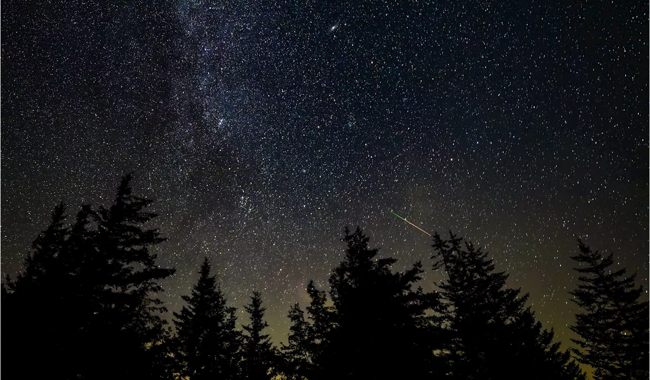Chasing the Perseids: Why the August 12-13 Peak is a Celestial Jackpot