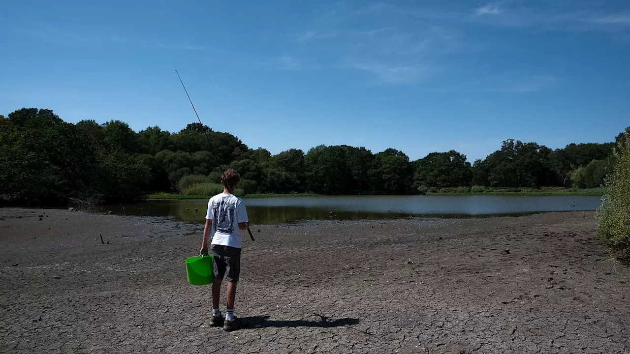 The Biological Cost of Dry Spells: How Britain's Droughts Fuel Disease