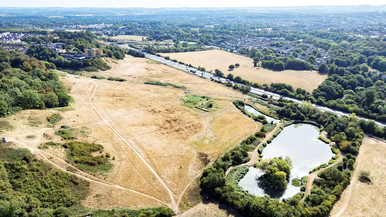 Grills vs. Grassfires: Andy Burnham’s High-Stakes Heatwave Strategy