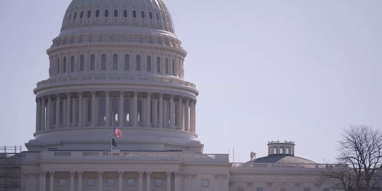 Alabama's Low-Turnout Special Primaries Set the Stage for November House Battles