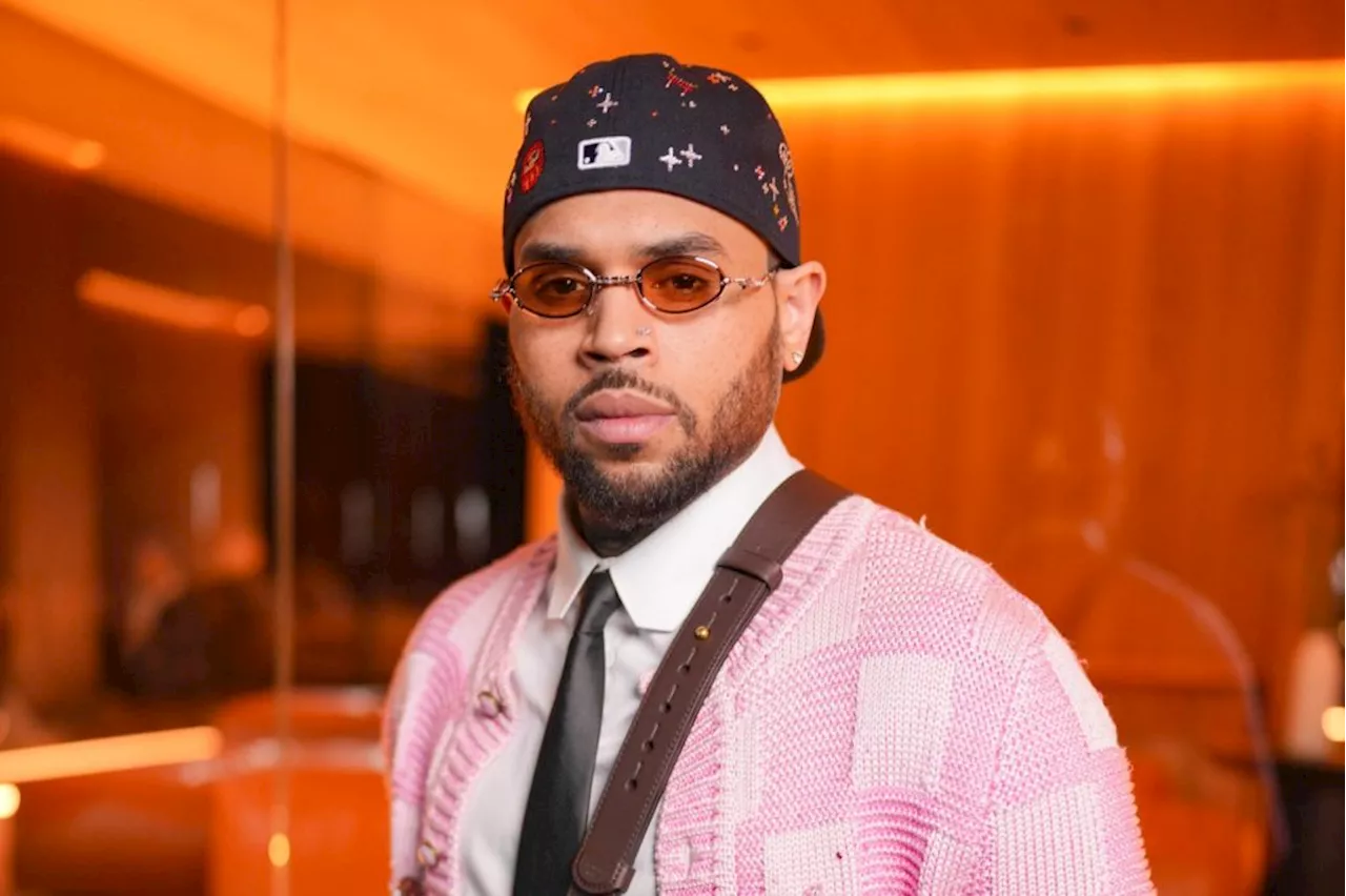 Chris Brown Challenges $13 Million Judgment Over 2020 Dog Attack