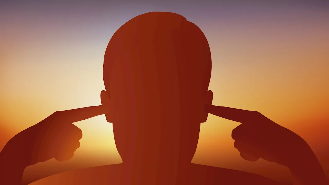 Noise Pollution and the AI Pivot: The Battle for Quiet in Dowagiac