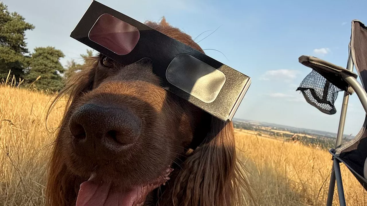 Beyond the Crescent: The UK’s Evening Eclipse Spectacle