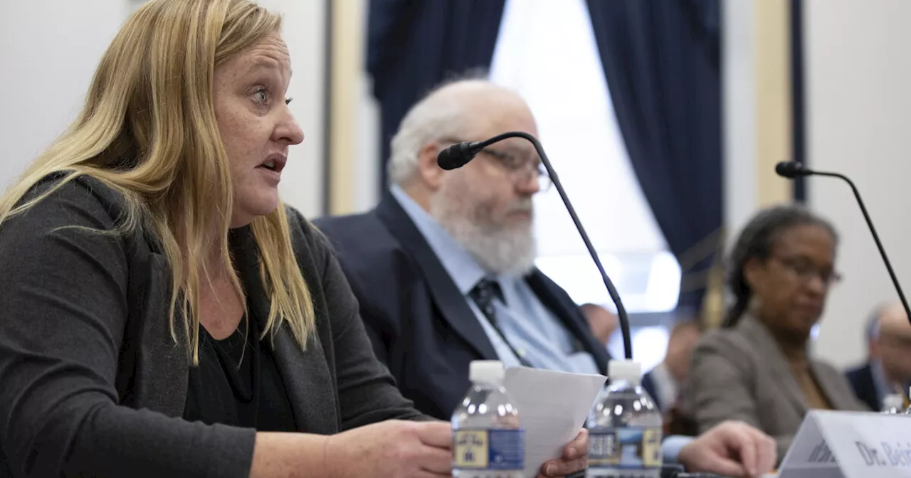 The $4 Million Allegation: Unpacking the Indictment of Heidi Beirich