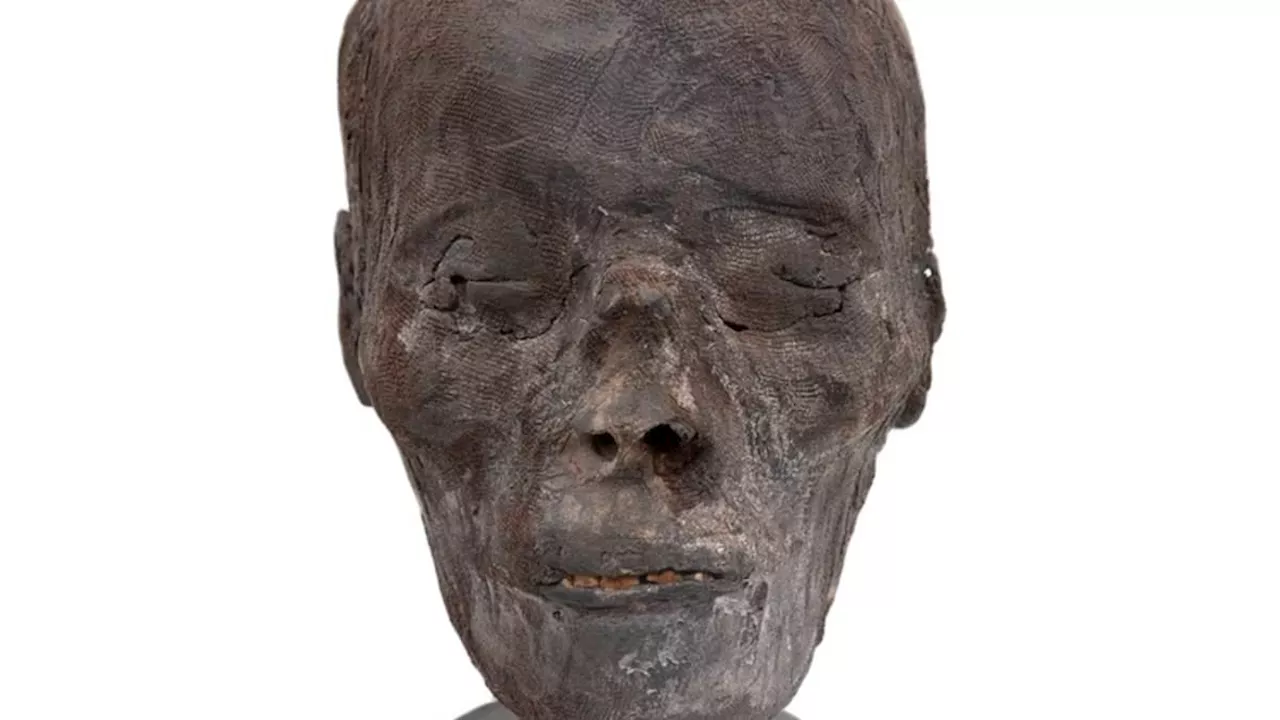 The Biological Peril of the Global Trade in Mummified Remains