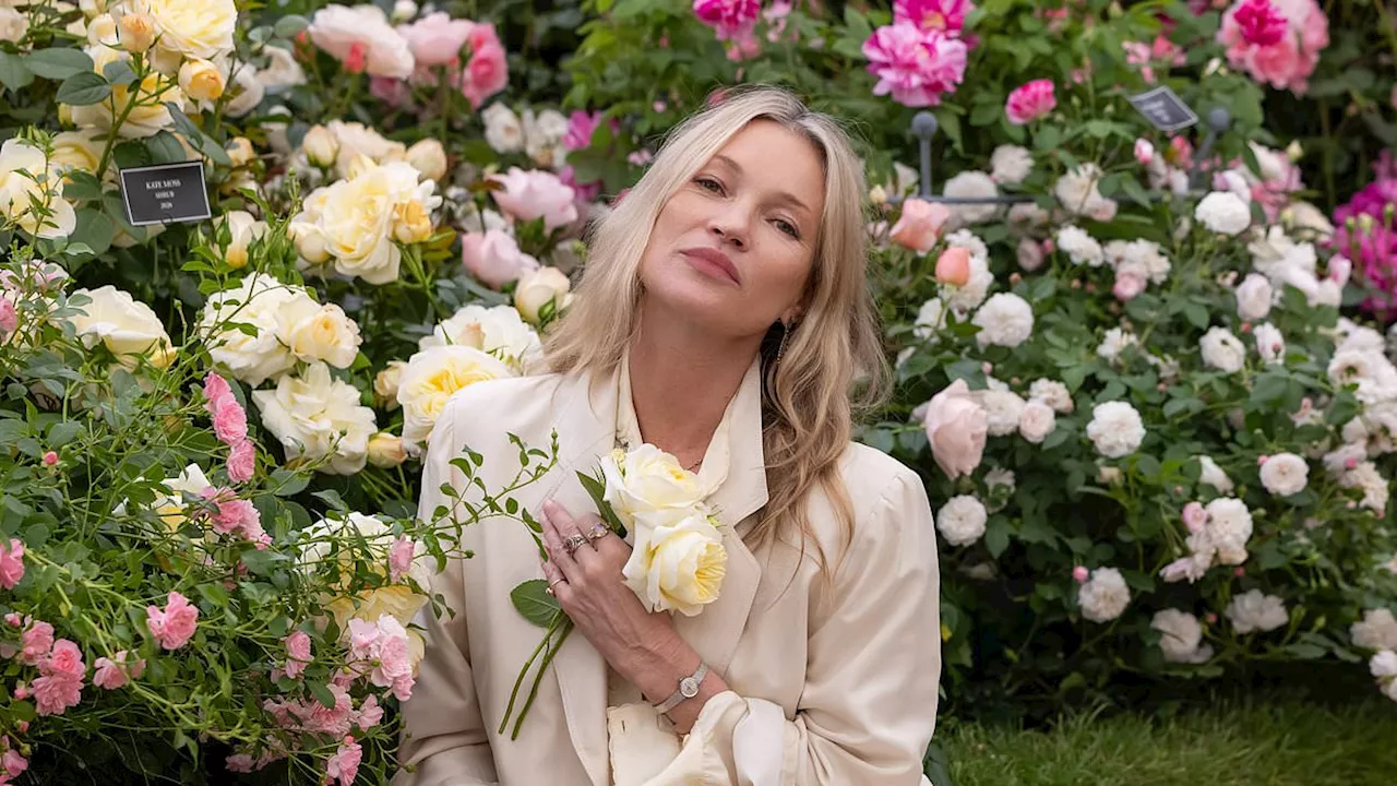 The High Cost of Glamour: Kate Moss’s Cosmoss Collapses with £3M Debt