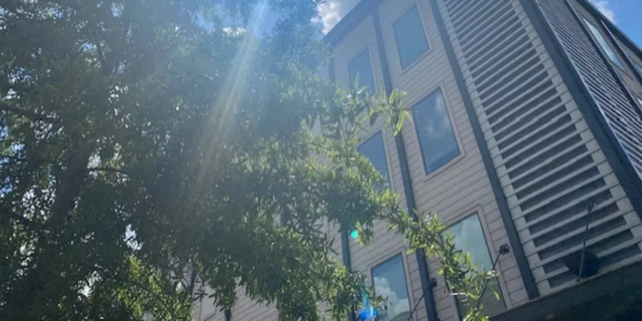 Student Housing Nightmare: Mold and Corporate Silence at The Walk