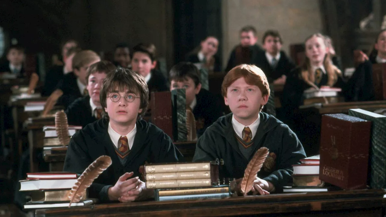 HBO's Harry Potter Reboot Prioritizes Book Accuracy with Nicholas Hoult Casting