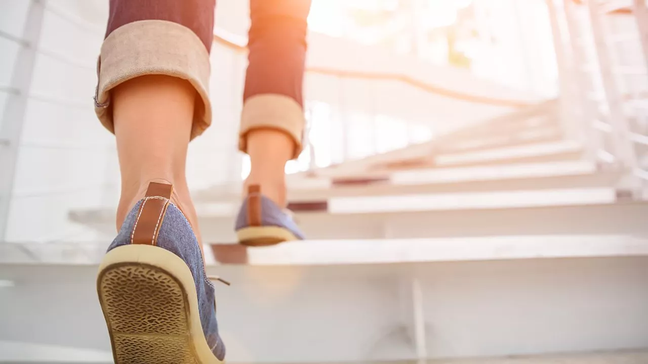 The 40% Life-Saving Hack: Why Six Flights of Stairs Could Be Your Best Defense