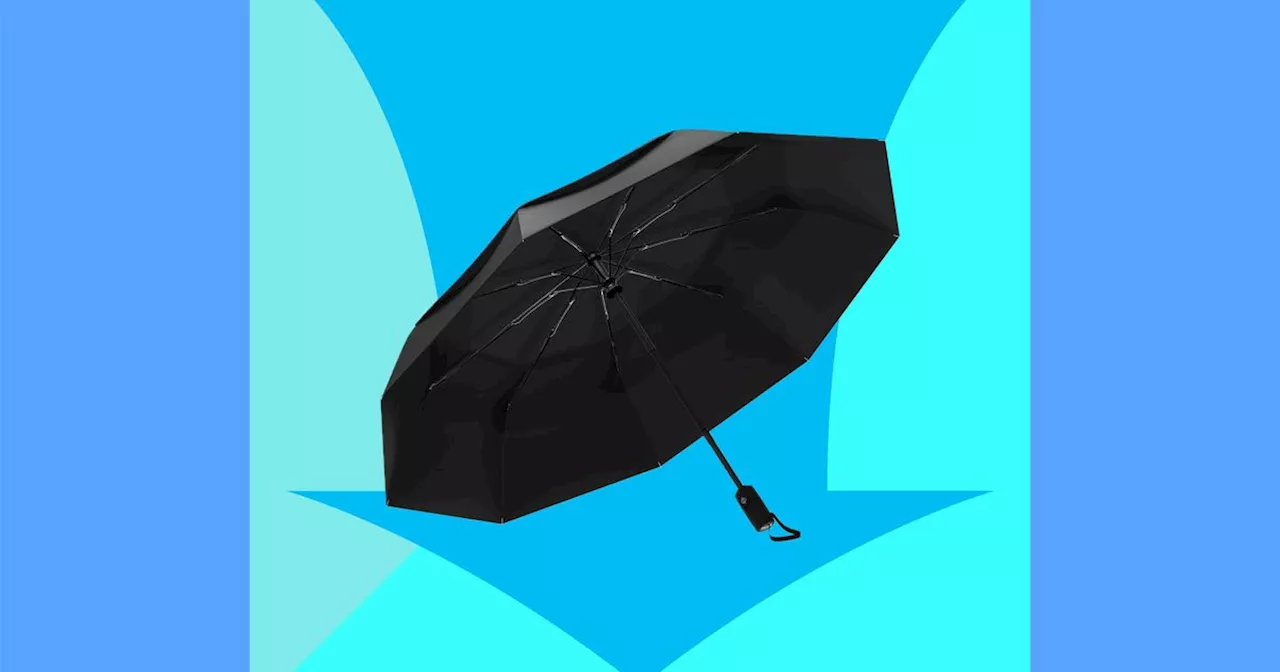The Blunt Metro Sale: Can a $24 Compact Umbrella Actually Fight the Wind?