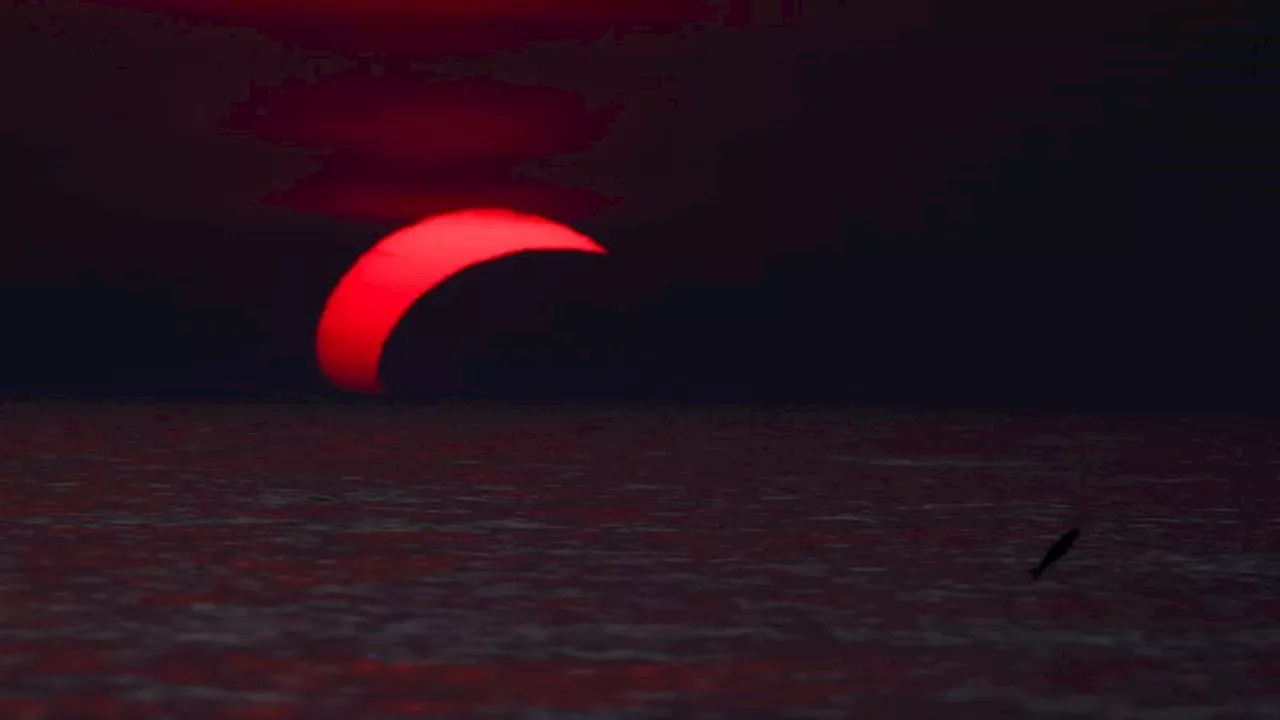 Sunset Totality: The Celestial Mechanics Behind Europe's Solar Eclipse