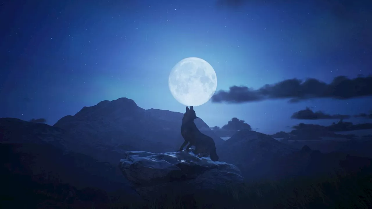 Silk Road Survival: Gamegine’s Nomad: Steppeborn Saga Blends Valheim and Red Dead