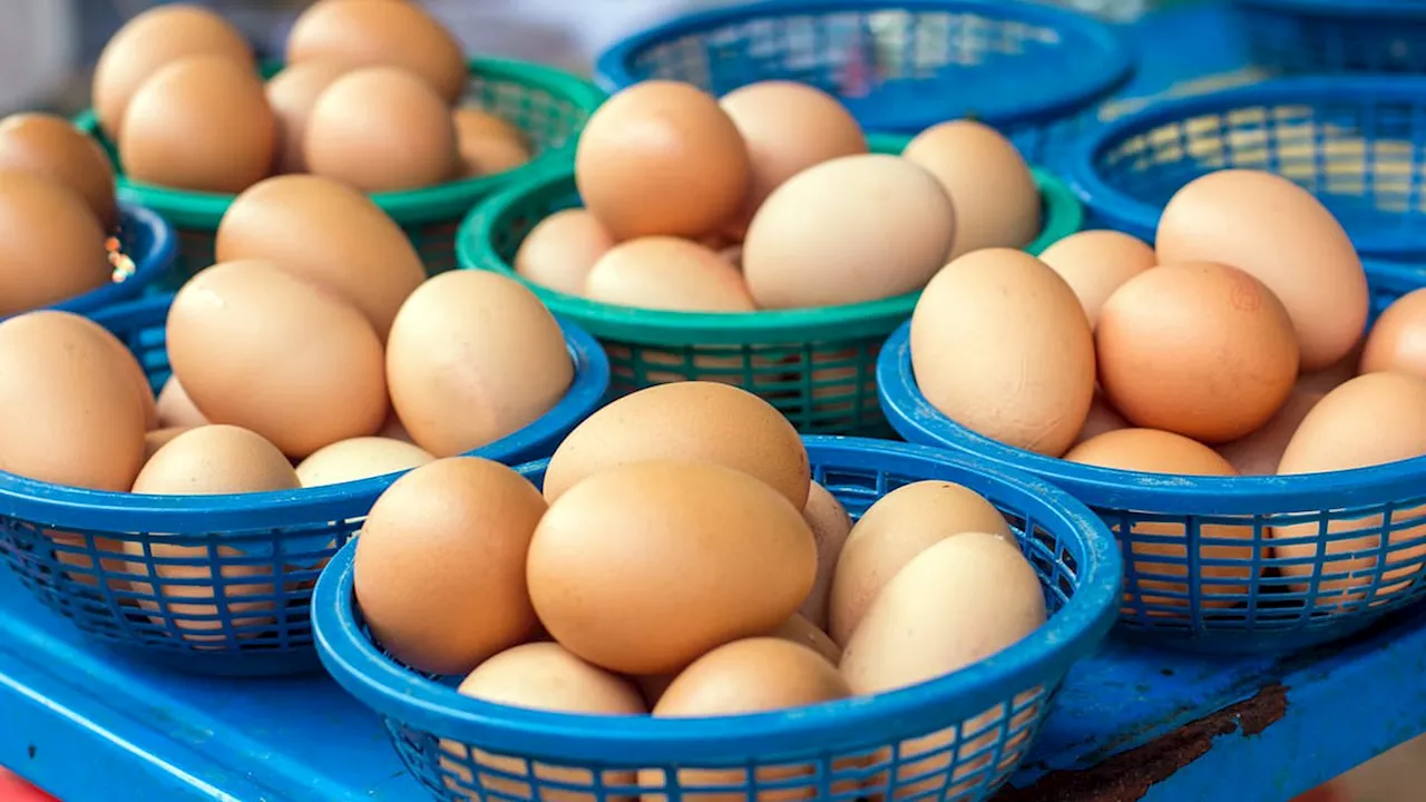 The Diversification Dilemma: Balancing Risk and Returns in Global Markets