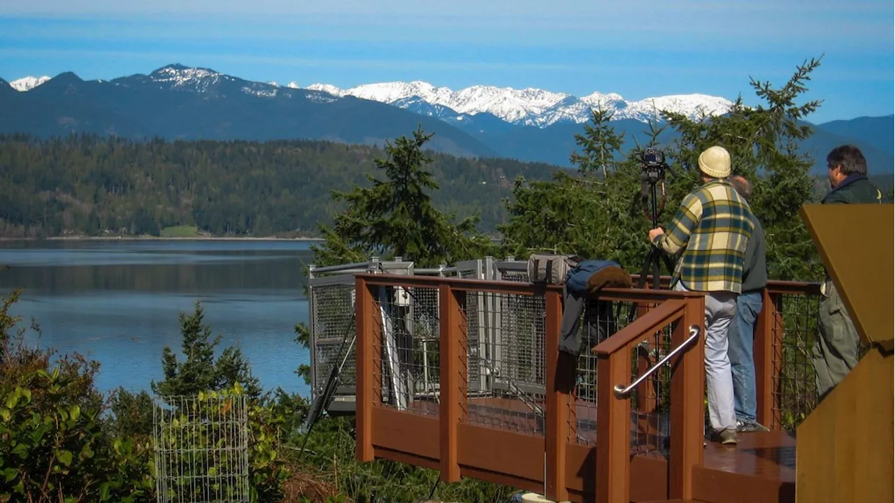 The Rise of the Cliffside Gondola: High Bank Elevators' Niche Dominance
