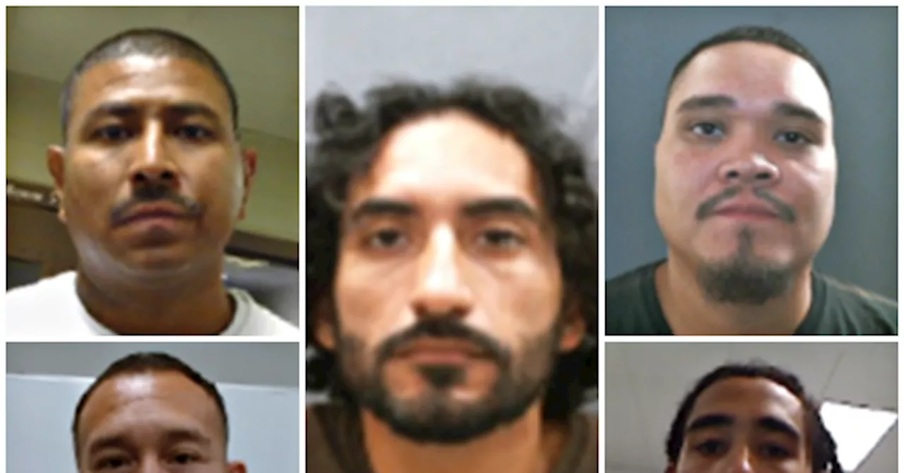 ICE Targets High-Profile Gang Members in Latest Deportation Wave