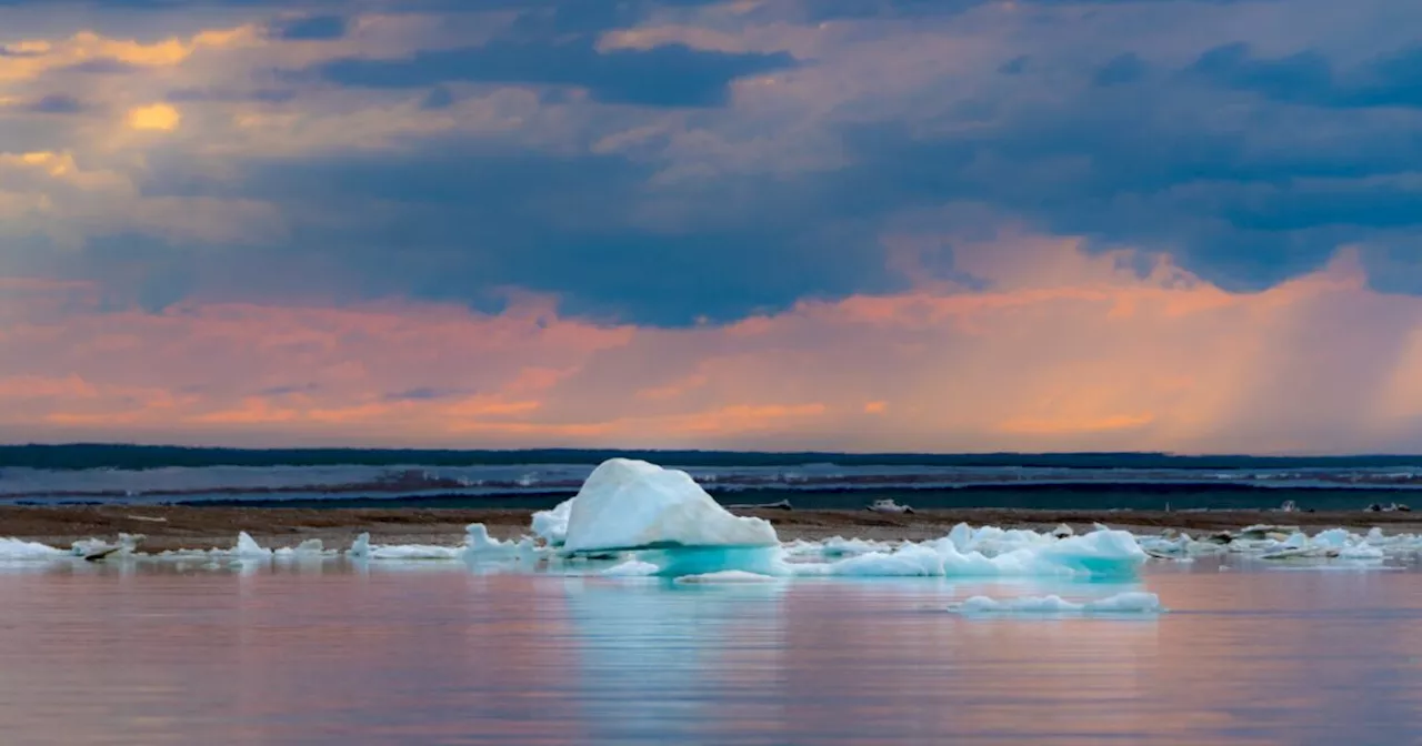 NOAA to Abandon Arctic Report Card Coordination by 2026