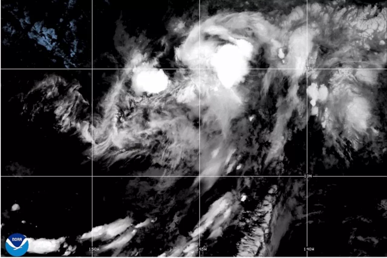 Hawaii Braces for Impact as Tropical Storm Lala Intensifies