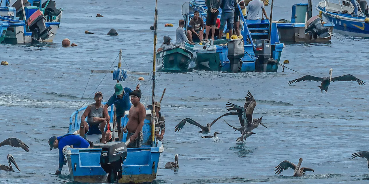 Shadows in the Pacific: The Mystery of the 'American' Attacks on Ecuadorian Boats