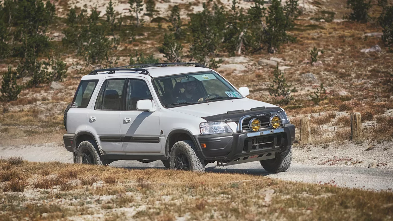 Beyond the Glow: Why Off-Roaders Swap White LEDs for Amber Lenses