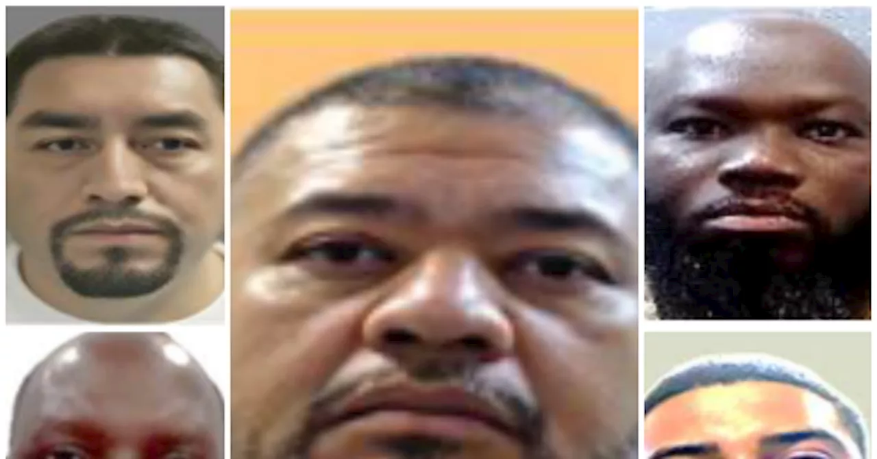 High-Profile Violent Offenders Detained in New ICE Enforcement Push