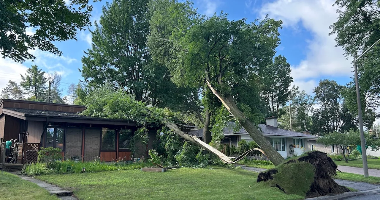 Ottawa West Reeling After Decade's Most Violent Summer Storm