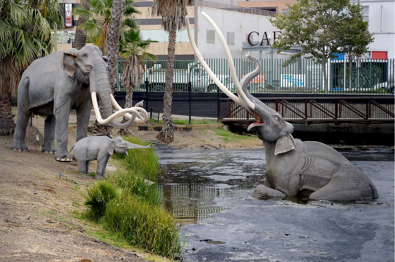 Prehistoric Upgrade: La Brea Tar Pits Set for $236 Million Transformation