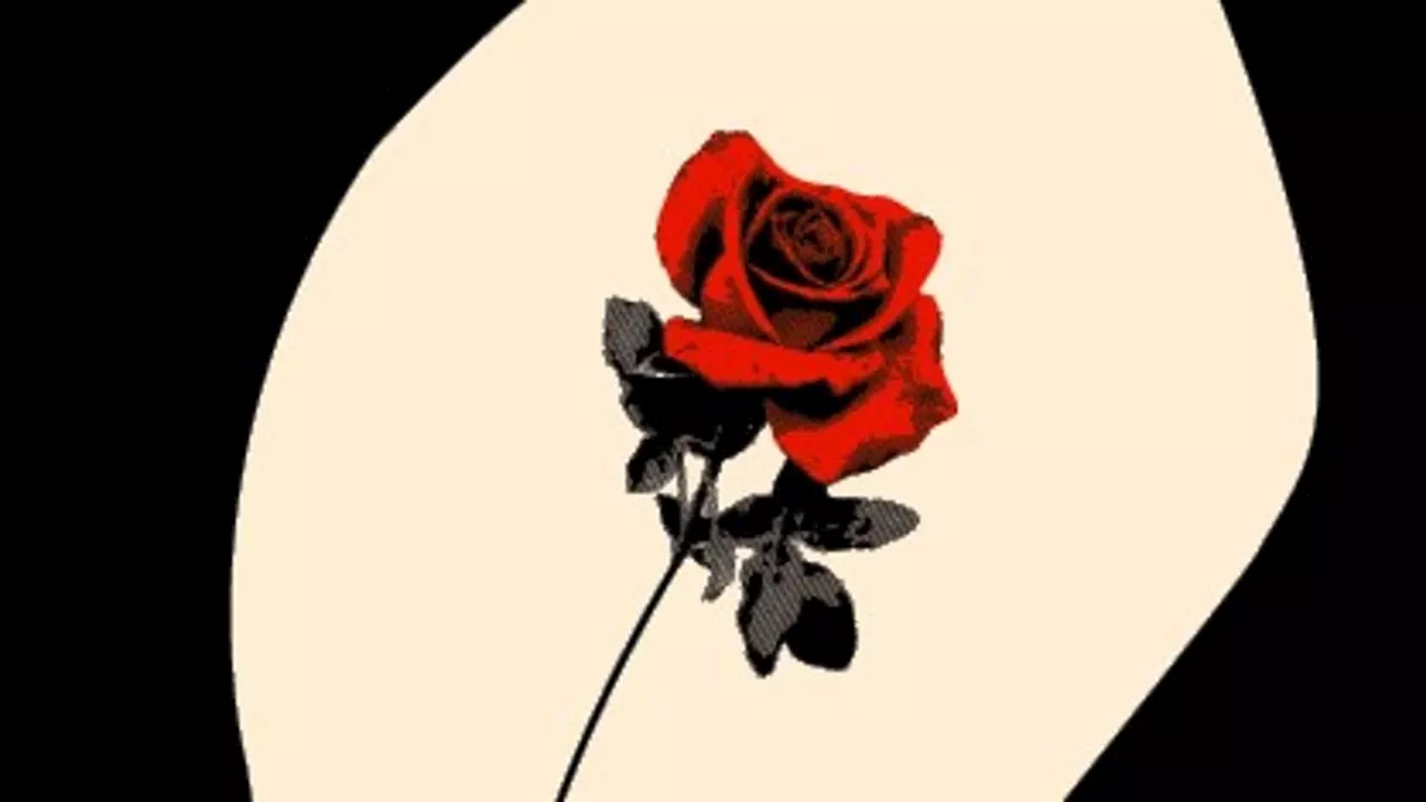 The 'Status Vagina': When Intimate Health Becomes a Luxury Asset