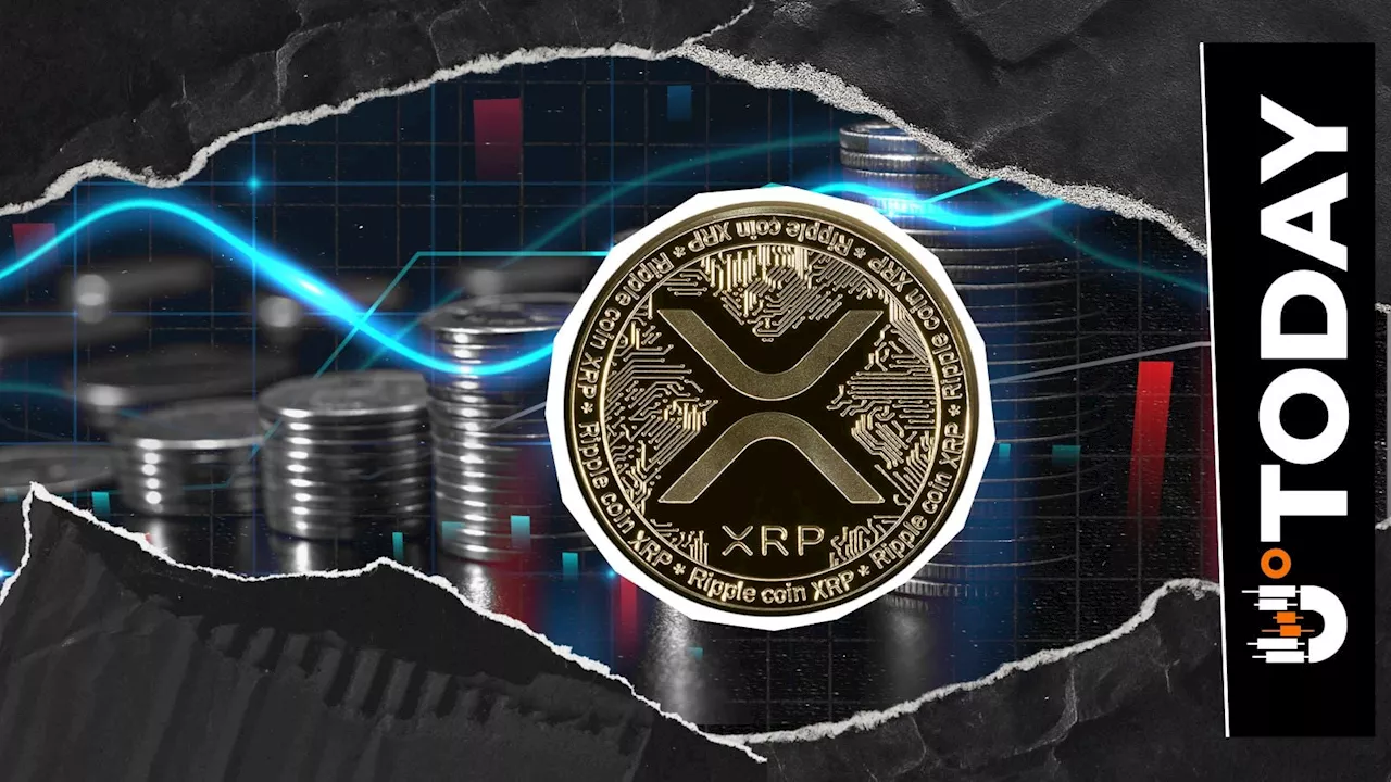 XRP's August Paradox: Network Activity Spikes While Price Slumps