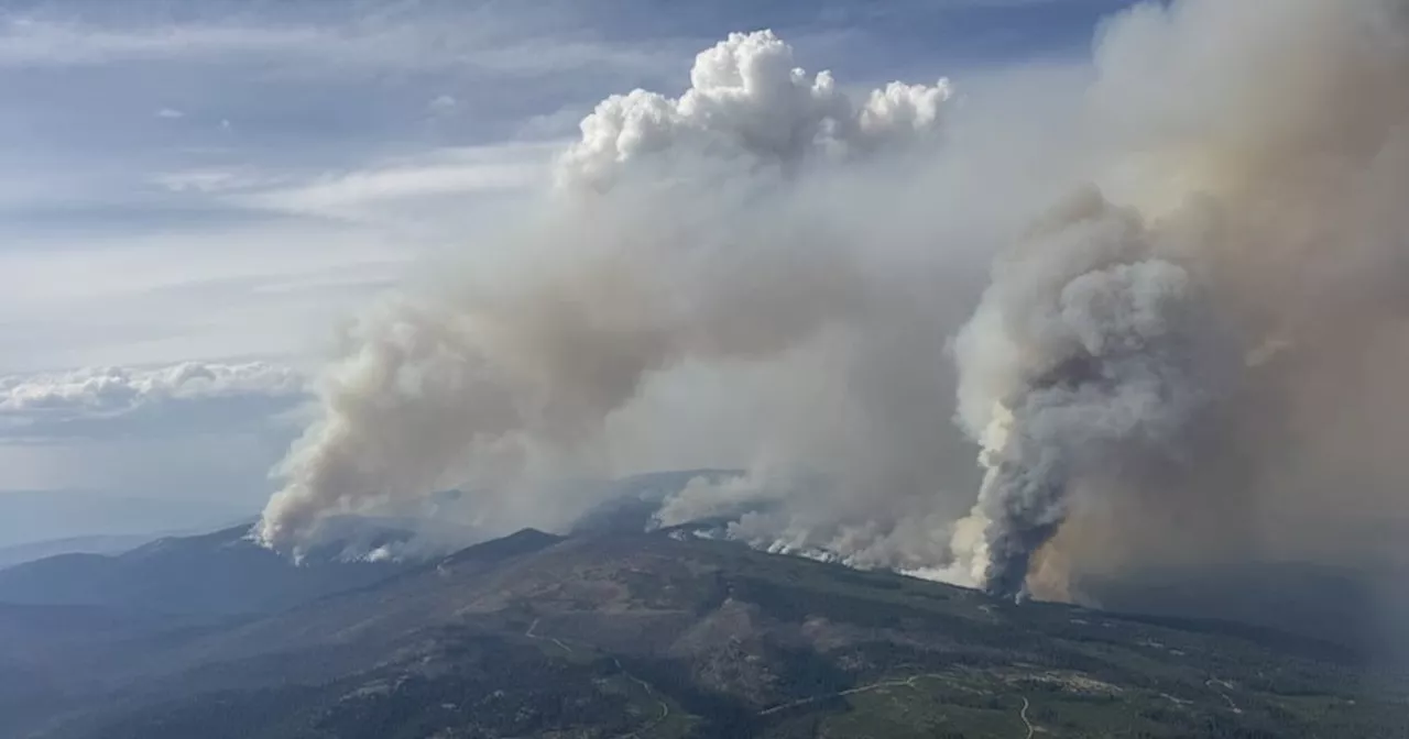 1,500 Square Kilometres of Ash: The Long Road to Recovery for Pear Lake