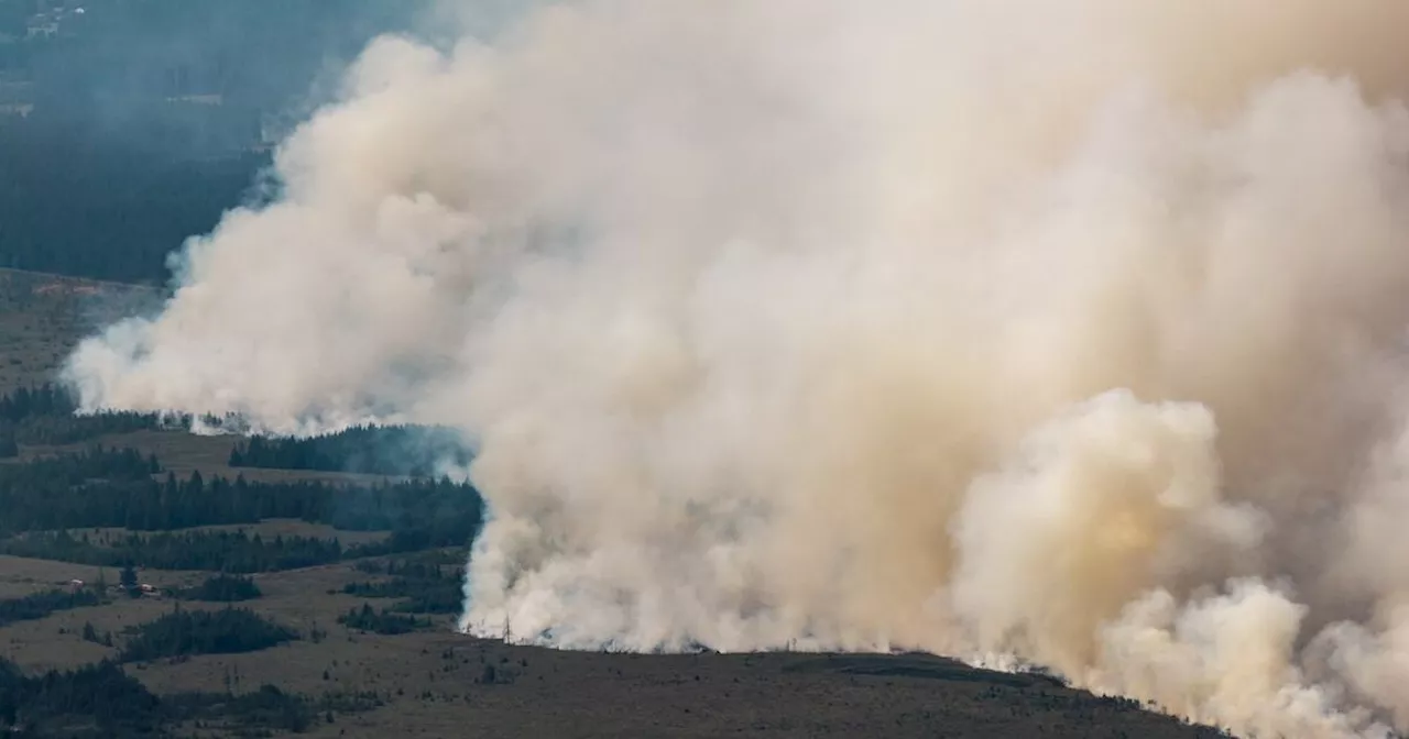 Belgium's High Fens Fire: A New Record in Climate Vulnerability