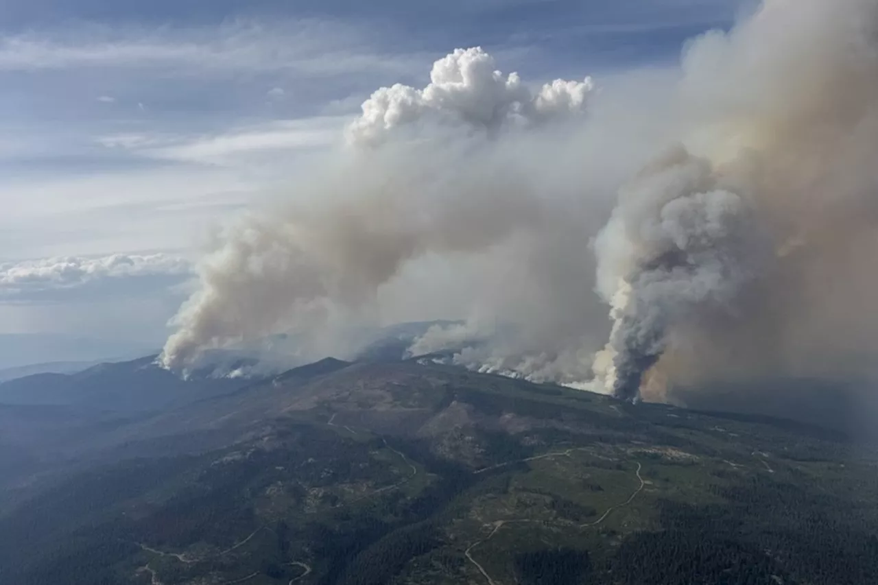 Beyond the Smoke: The Grueling Re-entry for British Columbia’s Wildfire Survivors