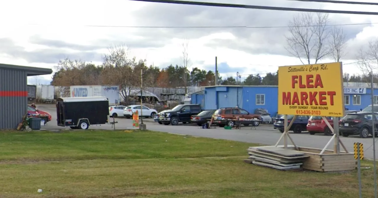 From Carp Road's Closure to France's Social Media Ruling: A Global Snapshot