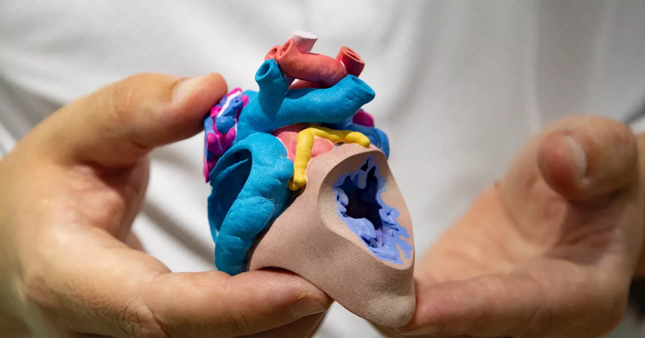 Precision Pediatrics: Inside Rady Children's 3D Surgical Revolution