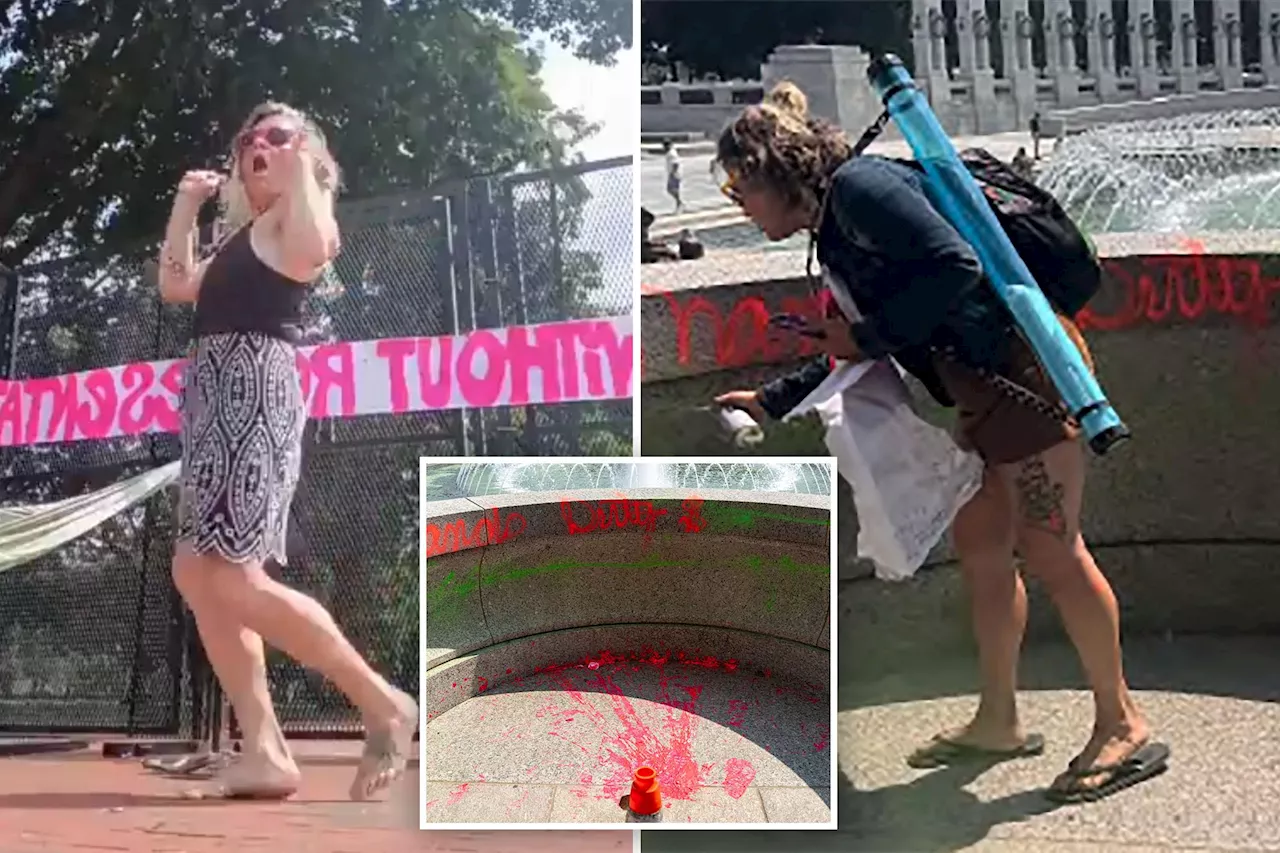 The 'Homeless Freedom Fighter': Delusions and Defacement at the WWII Memorial