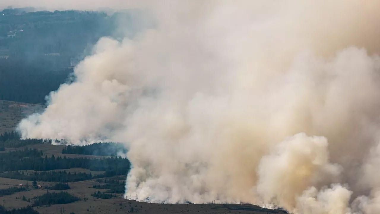 Belgium's High Fens Inferno: A Century's Worst Wildfire Threatens German Border