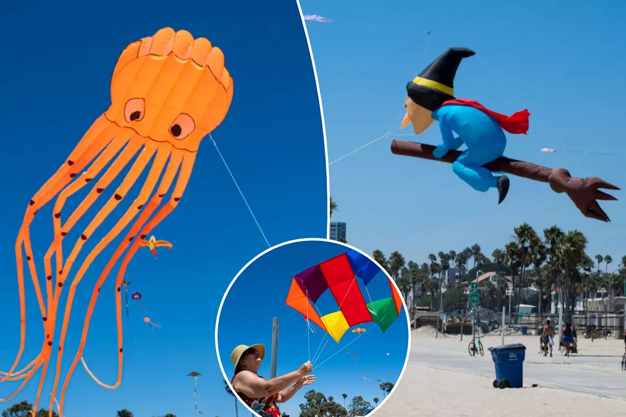 Cultural Winds: How the Long Beach Kite Festival Bridges Bangladesh and California