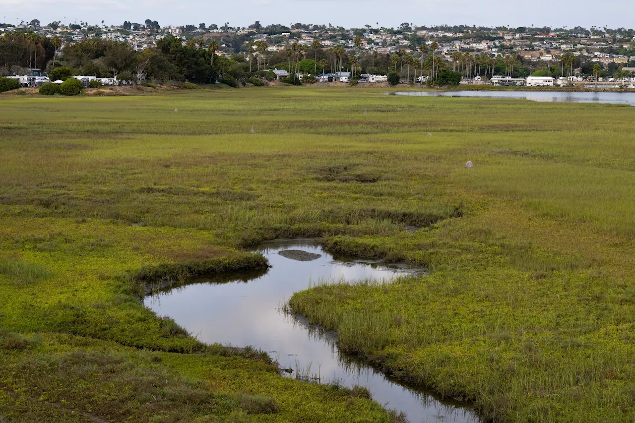 San Diego's 500-Acre Gamble: Can the De Anza Natural Plan Stop the Tide?