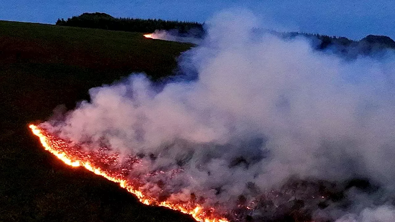 Wales Wildfire Crisis: Military Deployed as 'Tinderbox' Conditions Spark 20 Blazes