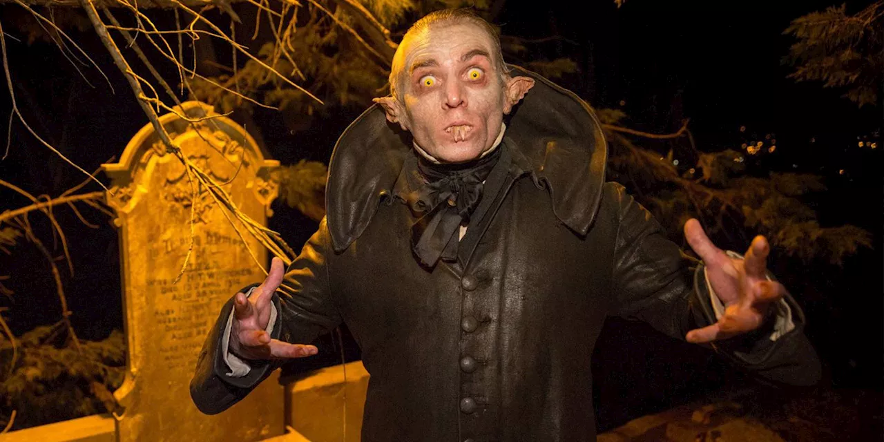 Beyond the Shadows: How Wellington Paranormal Conquered the Global Comedy Scene