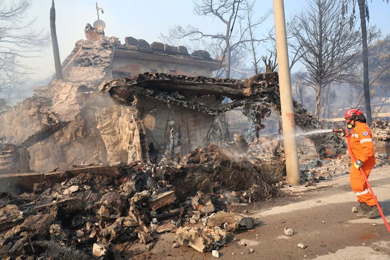 Tragedy on Salamina: Holiday Weekend Wildfires Claim Two Lives