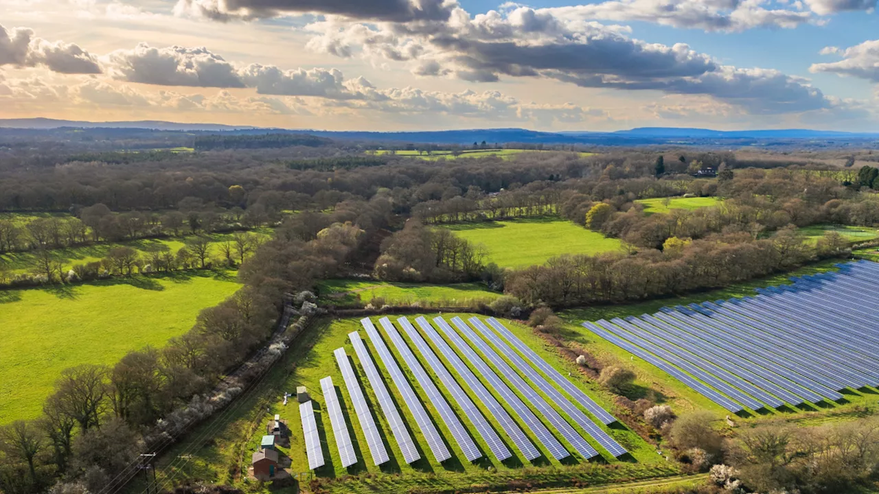 Wokingham’s Barkham Solar Farm: A £1 Million Win for Local Climate Action