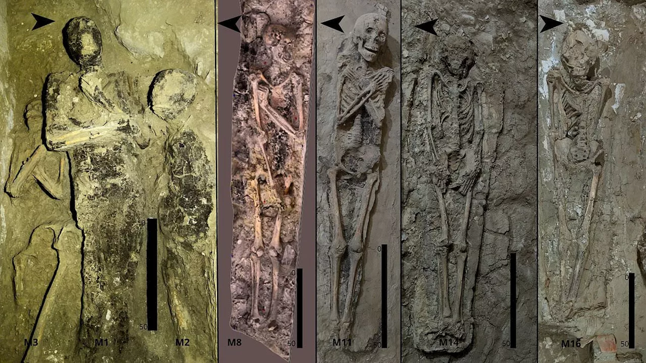 The Living History of Death: 700 Years of Reuse in Egypt's Tomb TT 209
