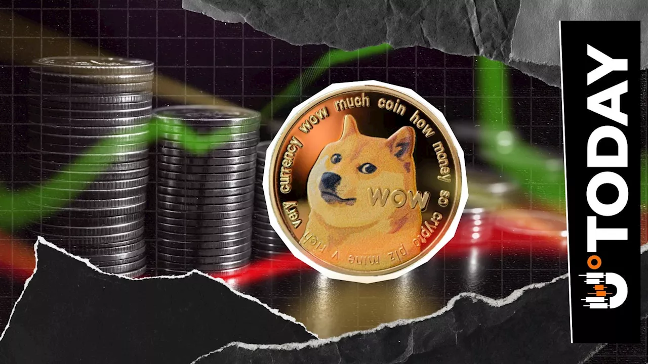 Dogecoin's $1.18 Billion Liquidation Trap: Why Traders are Doubling Down on a 70% Slump