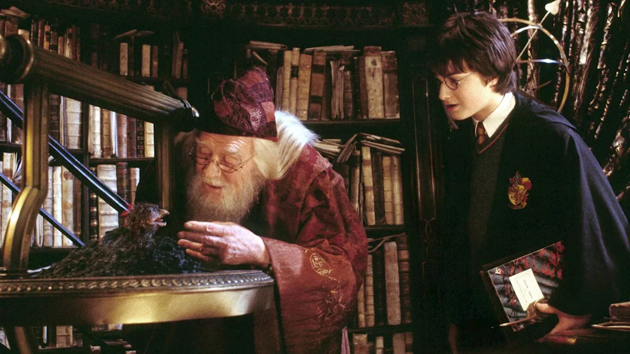 Beyond the Movies: How HBO Can Fix Harry Potter's Thematic Gaps