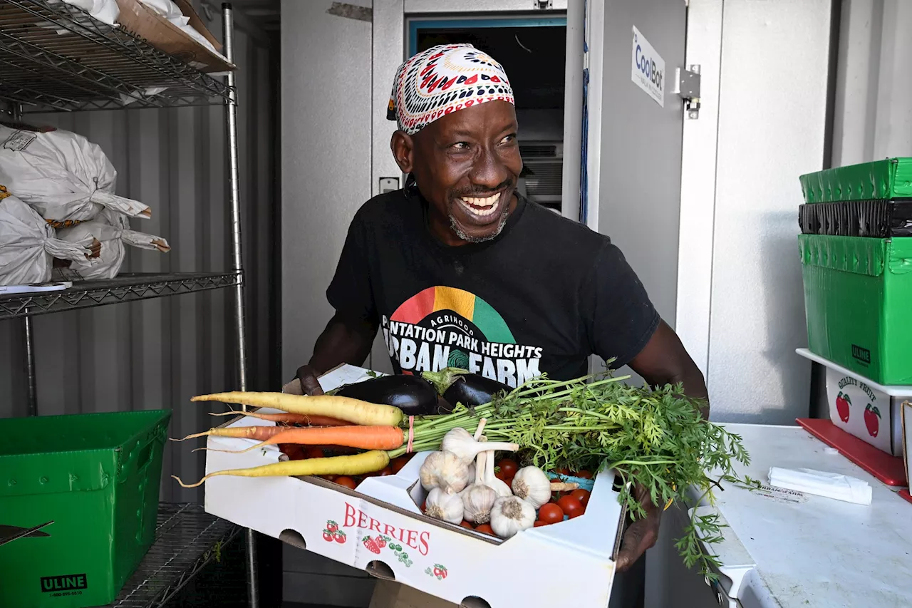 Data-Driven Dirt: How Baltimore’s Plantation Park Heights is Engineering New Farmers