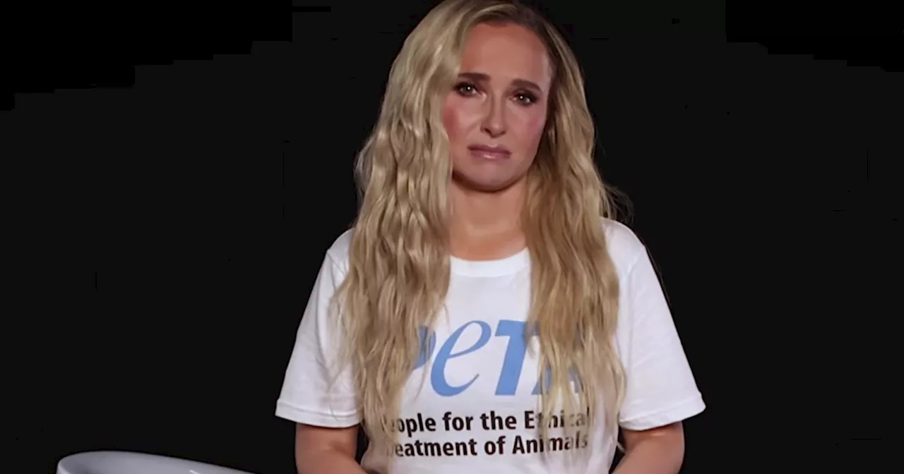 Hayden Panettiere’s Final PETA Campaign: A Posthumous Stand for Marine Life